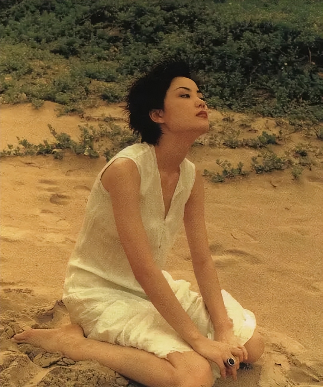 “天后”王菲简介（红了三十年的歌坛传奇，和谢霆锋有情人终成眷属）