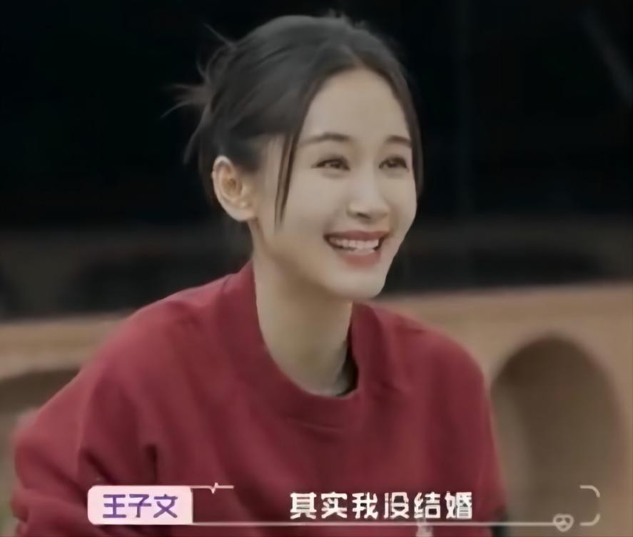 王子文简介（游离了3个男人后，决定未婚生子，35岁带儿子潇洒生活）