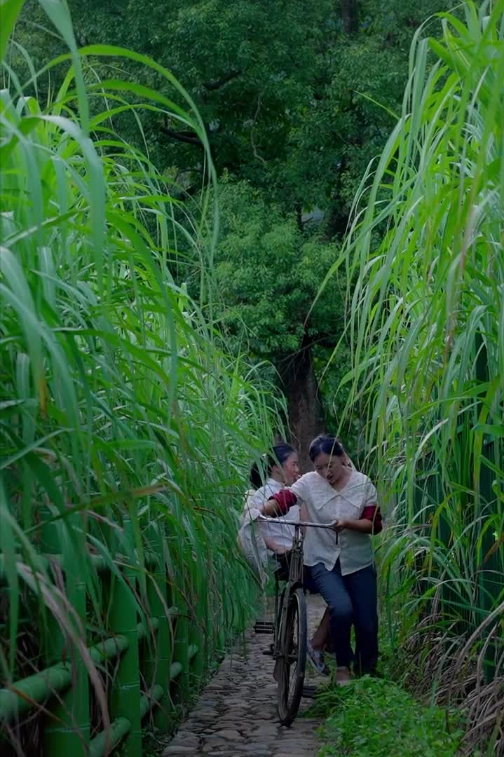 乡愁沈丹个人资料简介(从离异负债到带全村人致富，单亲妈妈如何完成蜕变？)