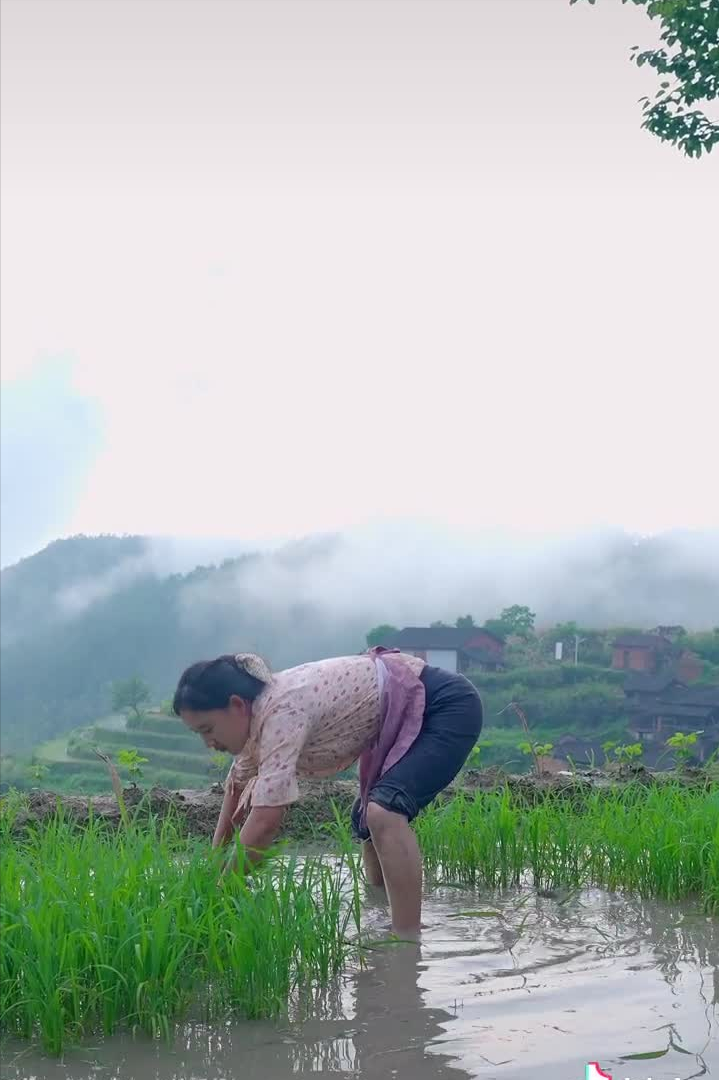 乡愁沈丹个人资料简介(从离异负债到带全村人致富，单亲妈妈如何完成蜕变？)