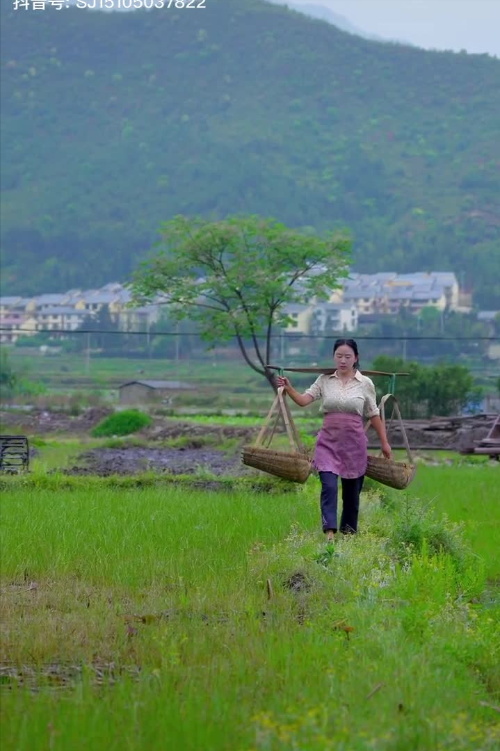 乡愁沈丹个人资料简介(从离异负债到带全村人致富，单亲妈妈如何完成蜕变？)