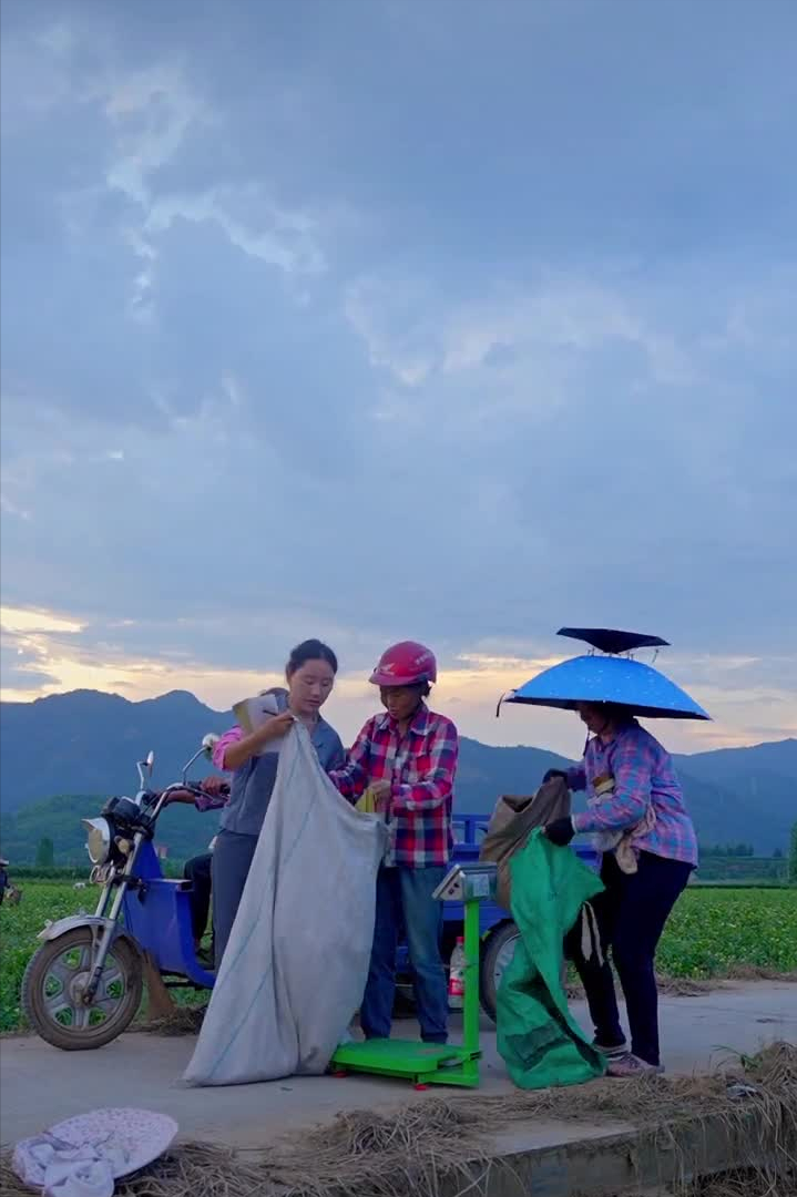 乡愁沈丹个人资料简介(从离异负债到带全村人致富，单亲妈妈如何完成蜕变？)