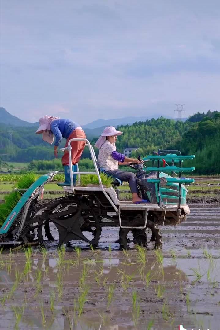 乡愁沈丹个人资料简介(从离异负债到带全村人致富，单亲妈妈如何完成蜕变？)
