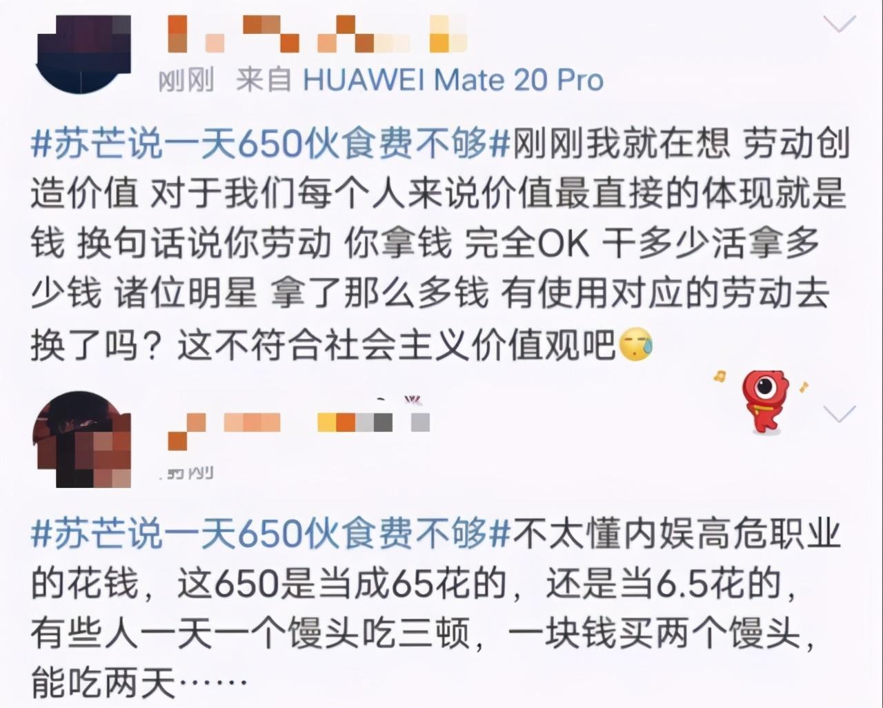 苏芒是谁(一天650的生活费还不够，苏芒她到底是何许人也？)