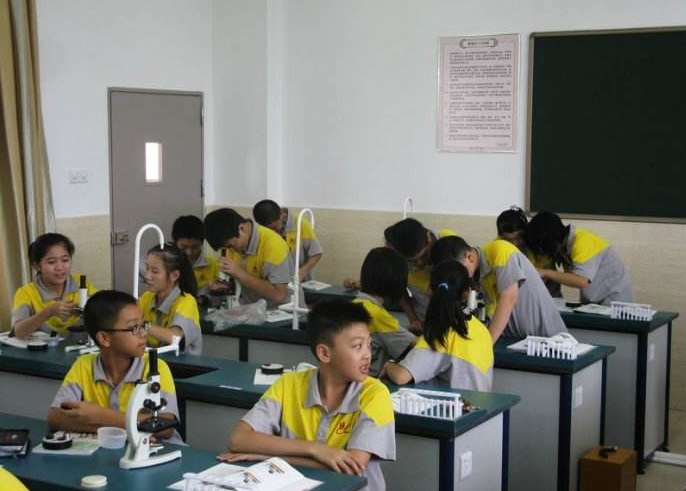 显微镜是谁发明的发明者是谁（显微镜的演化史）