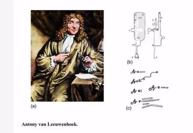 显微镜是谁发明的发明者是谁（显微镜的演化史）