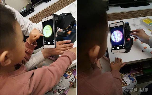 显微镜是谁发明的发明者是谁（显微镜的演化史）