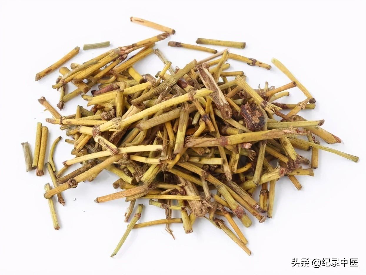 医圣是谁（张仲景为什么会成为医圣？）