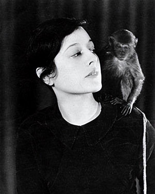 呼啸山庄作者是谁（《呼啸山庄》创作者往事）