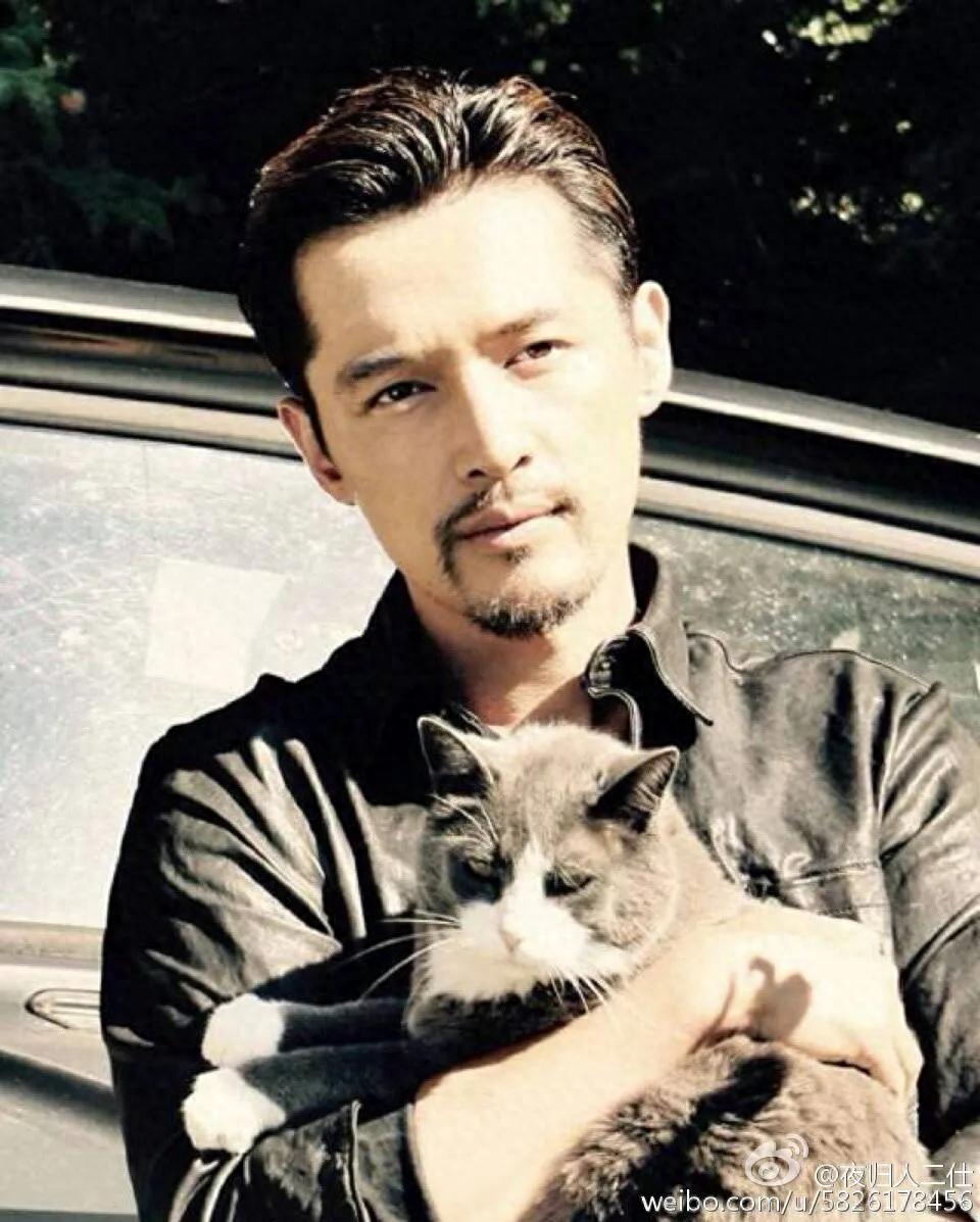 胡歌个人资料简介