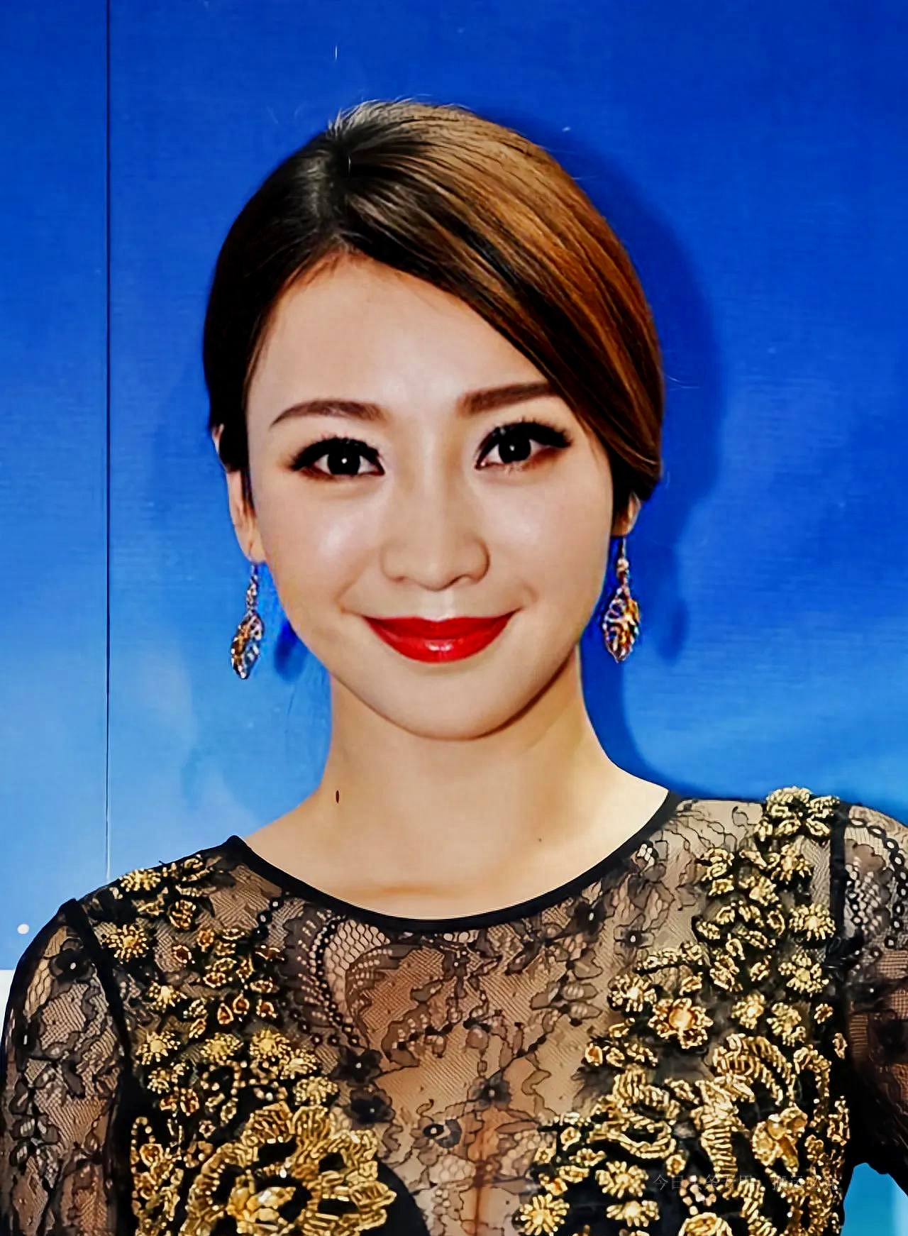 柳岩个人资料：娱乐圈最后的黄金剩女，职业定位模糊，被讽只会借胸上位